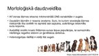 Presentations 'Suņu evolūcija un domestikācija', 6.