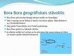 Presentations 'Bora Bora sala - dievības sala', 3.