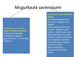 Presentations 'Mugurkauls', 29.
