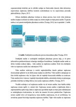 Research Papers 'Mārketinga stratēģijas pilnveide uzņēmumā MeatMe', 14.