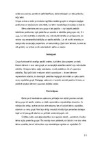 Practice Reports 'Pirmsskolas skolotāja pedagoģiskā prakse', 13.