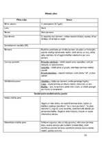 Practice Reports 'Pirmsskolas skolotāja pedagoģiskā prakse', 28.