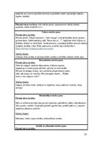 Practice Reports 'Pirmsskolas skolotāja pedagoģiskā prakse', 30.