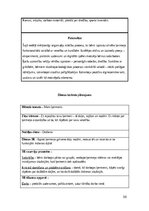 Practice Reports 'Pirmsskolas skolotāja pedagoģiskā prakse', 38.