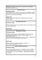 Practice Reports 'Pirmsskolas skolotāja pedagoģiskā prakse', 41.