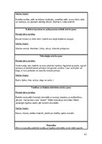 Practice Reports 'Pirmsskolas skolotāja pedagoģiskā prakse', 42.