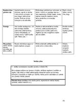 Practice Reports 'Pirmsskolas skolotāja pedagoģiskā prakse', 45.