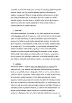 Practice Reports 'Pirmsskolas skolotāja pedagoģiskā prakse', 59.