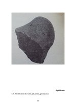 Research Papers 'Senā akmens laikmeta cilvēku dzīvesveids', 32.