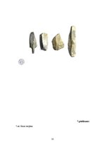 Research Papers 'Senā akmens laikmeta cilvēku dzīvesveids', 33.