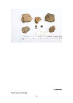 Research Papers 'Senā akmens laikmeta cilvēku dzīvesveids', 35.