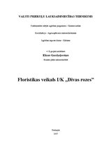 Business Plans 'Floristikas veikals "Divas rozes"', 1.