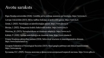 Presentations 'Zemgarozas kodolu arhitektūra un neirobioloģija', 14.