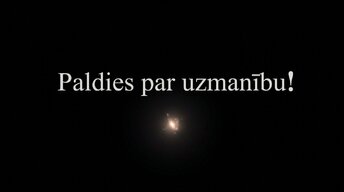 Presentations 'Zemgarozas kodolu arhitektūra un neirobioloģija', 16.