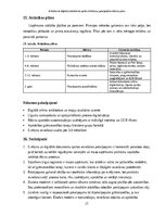 Business Plans 'E-rēķinu un digitālās dokumentu aprites ieviešanas pakalpojuma biznesa plāns maz', 21.