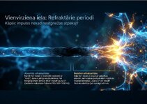 Presentations 'Bioloģiskā elektrība: neirona iekšējais kosmoss', 9.
