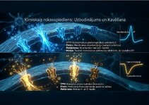 Presentations 'Bioloģiskā elektrība: neirona iekšējais kosmoss', 12.