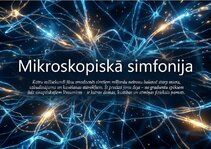 Presentations 'Bioloģiskā elektrība: neirona iekšējais kosmoss', 14.