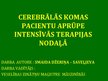 Presentations 'Cerebrālās komas pacientu aprūpe intensīvās terapijas nodaļā', 1.