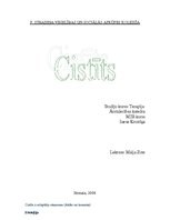 Research Papers 'Cistīts', 1.