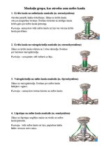 Summaries, Notes 'Sejas muskuļi', 10.