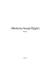 Research Papers 'Medicīna Senajā Ēģiptē', 1.