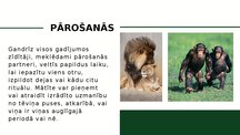 Presentations 'Zīdītāju vairošanās', 5.