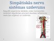 Presentations 'Simpātiskā nervu sistēma', 4.