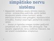 Presentations 'Simpātiskā nervu sistēma', 17.