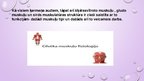 Presentations 'Muskuļu funkcijas', 3.