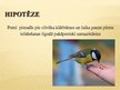 Presentations 'Cilvēka ietekme uz putnu ligzdošanas periodā', 5.