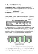 Practice Reports 'SIA "Lattelekom" finanšu darbības analīze', 11.