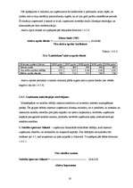 Practice Reports 'SIA "Lattelekom" finanšu darbības analīze', 19.