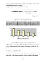 Practice Reports 'SIA "Lattelekom" finanšu darbības analīze', 22.