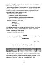 Practice Reports 'SIA "Lattelekom" finanšu darbības analīze', 23.
