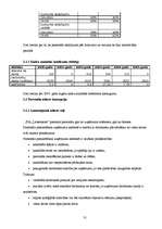 Practice Reports 'SIA "Lattelekom" finanšu darbības analīze', 31.