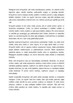 Essays 'Dzīve bilingvālajā vidē', 4.