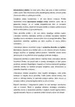 Essays 'Urbanizācijas ietekme uz vidi un klimatu: izaicinājumi un ilgtspējīgas pilsētvid', 2.