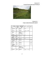 Research Papers 'Vides un dabas mijiedarbība Bauskā', 17.