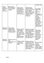 Practice Reports 'Kvalifikācijas prakse pirmsskolā', 5.