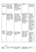Practice Reports 'Kvalifikācijas prakse pirmsskolā', 8.