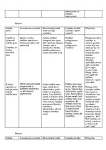 Practice Reports 'Kvalifikācijas prakse pirmsskolā', 11.