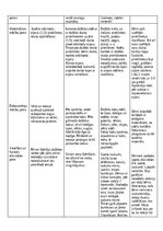 Practice Reports 'Kvalifikācijas prakse pirmsskolā', 12.