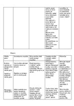 Practice Reports 'Kvalifikācijas prakse pirmsskolā', 13.