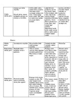 Practice Reports 'Kvalifikācijas prakse pirmsskolā', 14.