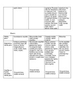 Practice Reports 'Kvalifikācijas prakse pirmsskolā', 16.