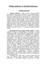 Research Papers 'Trikātas pacēlums un Burtnieka līdzenums', 1.