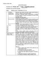Summaries, Notes 'Rotaļa - 6.klase', 1.