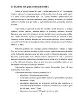 Practice Reports 'Grāmatvedības prakses atskaite', 6.