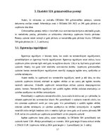 Practice Reports 'Grāmatvedības prakses atskaite', 17.